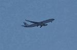 Dcim10824/DSC_0787