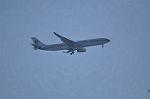 Dcim10824/DSC_0793