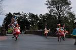 Dcim10840/DSC_2961