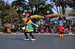 Dcim10840/DSC_2982