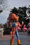 Dcim10841/DSC_3079
