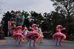 Dcim10841/DSC_3100