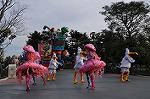Dcim10841/DSC_3112