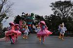 Dcim10841/DSC_3113