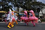 Dcim10841/DSC_3129