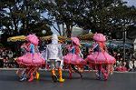 Dcim10841/DSC_3130