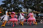 Dcim10841/DSC_3132