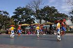 Dcim10842/DSC_3173