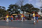 Dcim10842/DSC_3174