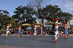 Dcim10842/DSC_3177