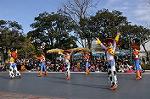 Dcim10842/DSC_3179