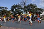 Dcim10842/DSC_3180