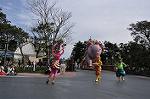 Dcim10842/DSC_3208