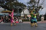 Dcim10842/DSC_3223
