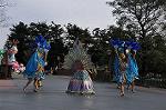 Dcim10842/DSC_3294