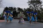 Dcim10842/DSC_3296