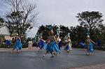 Dcim10842/DSC_3302