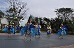 Dcim10842/DSC_3305