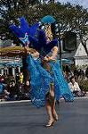 Dcim10843/DSC_3334