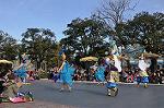 Dcim10843/DSC_3349