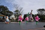 Dcim10843/DSC_3386