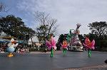 Dcim10843/DSC_3388