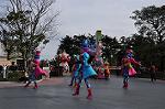 Dcim10844/DSC_3517