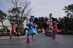 Dcim10844/DSC_3520