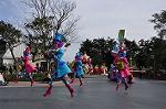 Dcim10844/DSC_3521