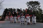 Dcim10844/DSC_3597