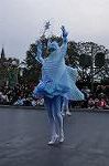 Dcim10848/DSC_4091