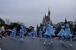 Dcim10849/DSC_4232