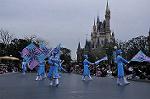 Dcim10849/DSC_4235