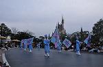 Dcim10849/DSC_4242