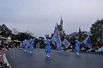 Dcim10849/DSC_4243