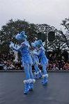 Dcim10849/DSC_4282