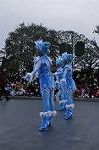 Dcim10849/DSC_4284