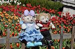 Dcim10862/DSC_5979