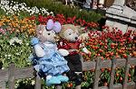 Dcim10862/DSC_5989