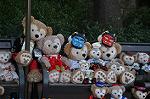 Dcim10866/DSC_6494