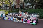Dcim10866/DSC_6497