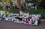 Dcim10866/DSC_6498