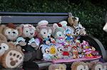 Dcim10866/DSC_6508