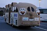 Dcim10872/DSC_7319