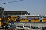 Dcim10873/DSC_7339
