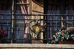 Dcim10878/DSC_7972