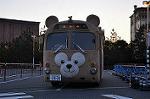 Dcim10879/DSC_8173