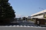 Dcim10880/DSC_8219