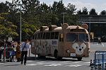 Dcim10880/DSC_8250