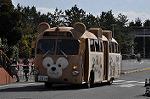 Dcim10880/DSC_8256